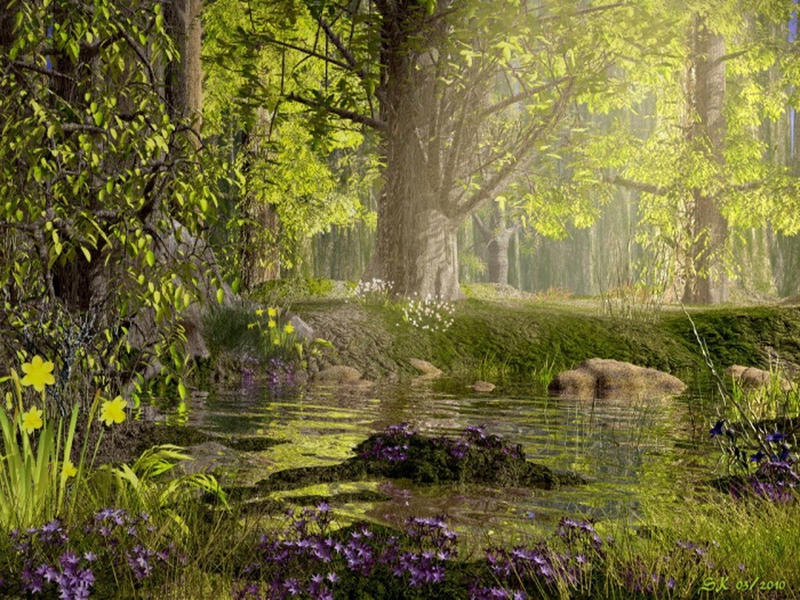 Forest Enchanted Spring Nature Forests HD Desktop Wallpaper