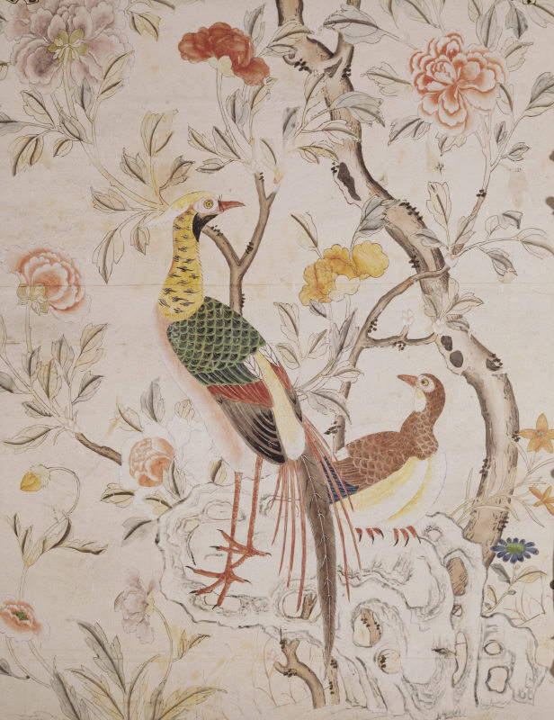 Pheasants Wallpaper Detail Of The In