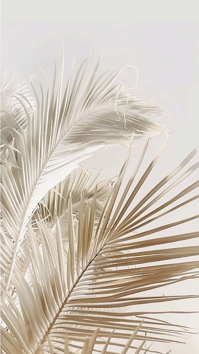 Phone Wallpaper Ideas In