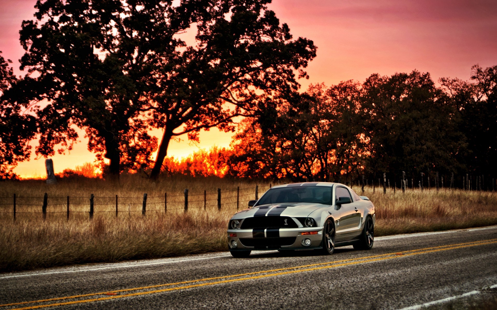 Ford Mustang Shelby Gt500 Muscle Car Road HD Wallpaper