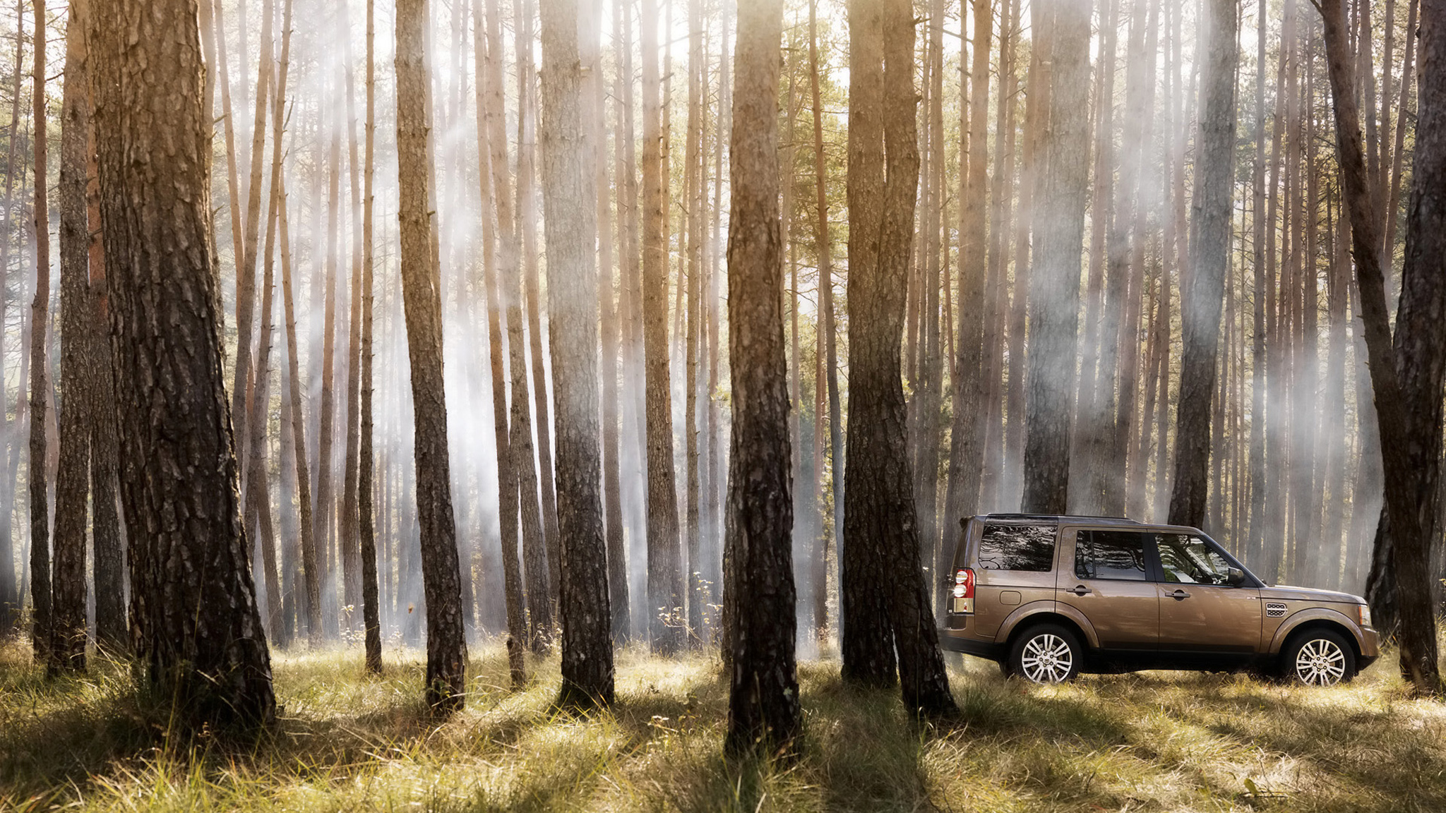 Land Rover Car Forest Transport Landscape Wallpaper