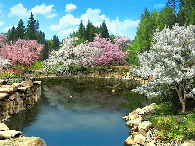 Spring Blossom 3D screensaver