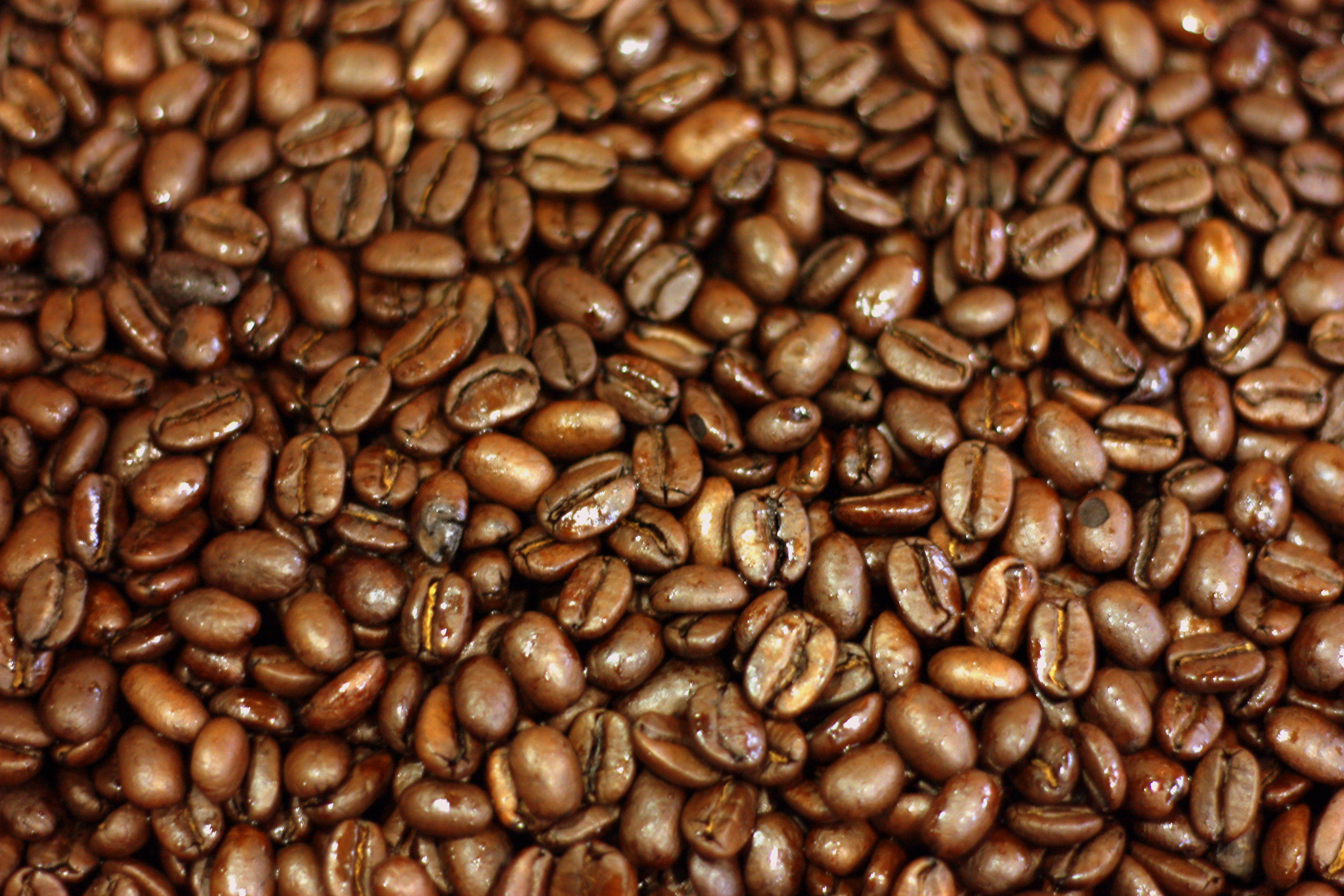 Coffee Beans HD Wallpapers