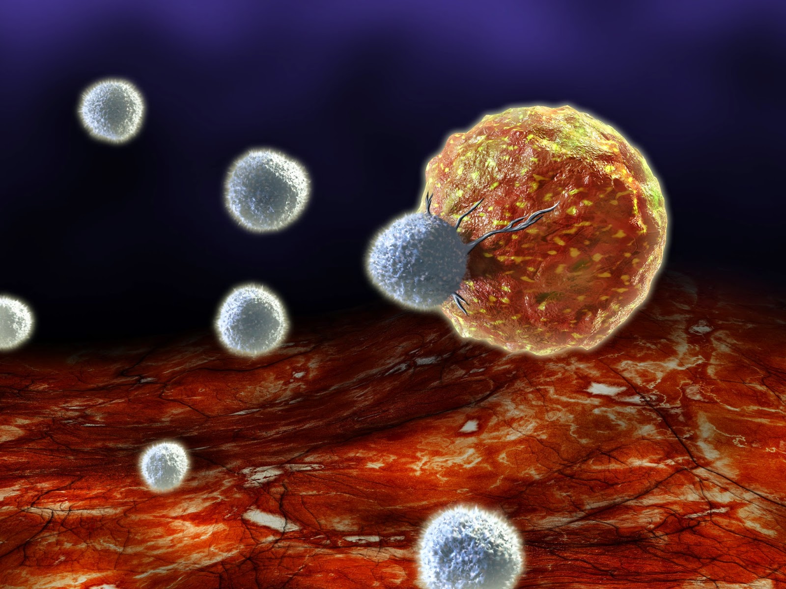 Immune System Double Agent Fuels Colon Cancer Stem Cells New