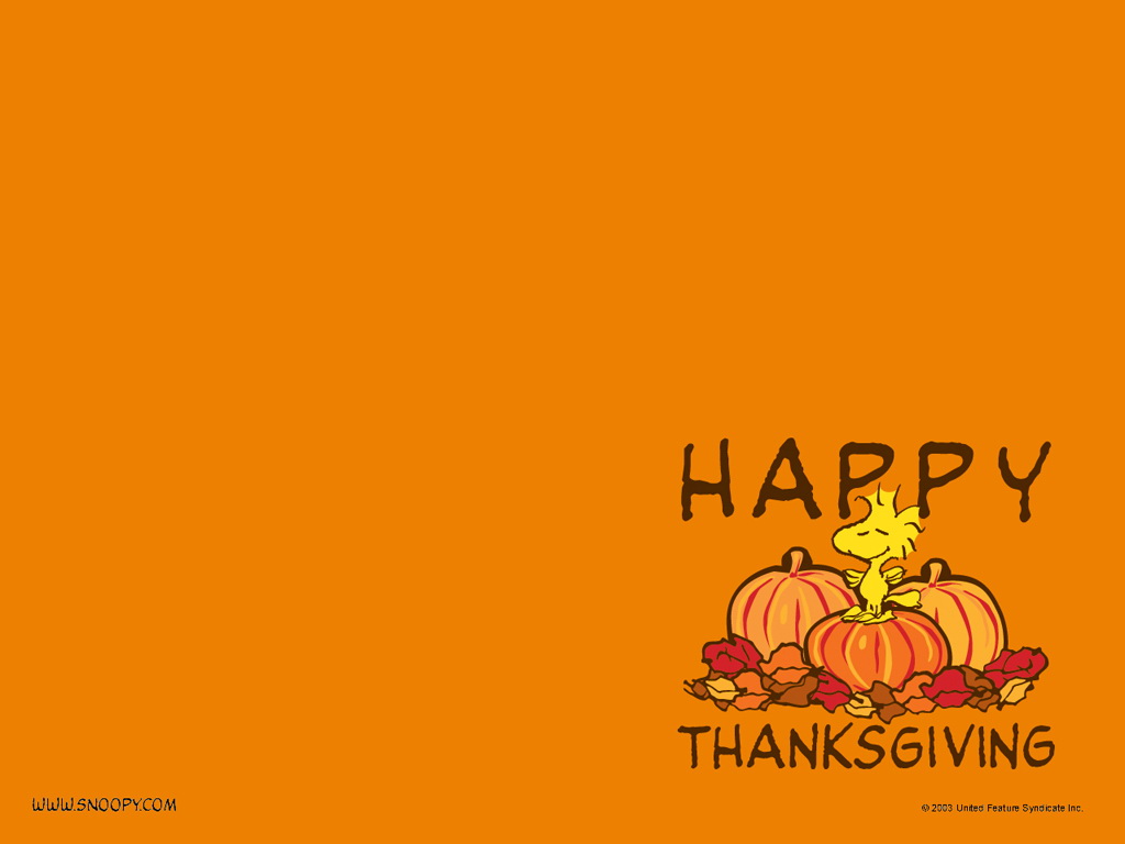 Thanksgiving Wallpaper Screensavers And Pictures For