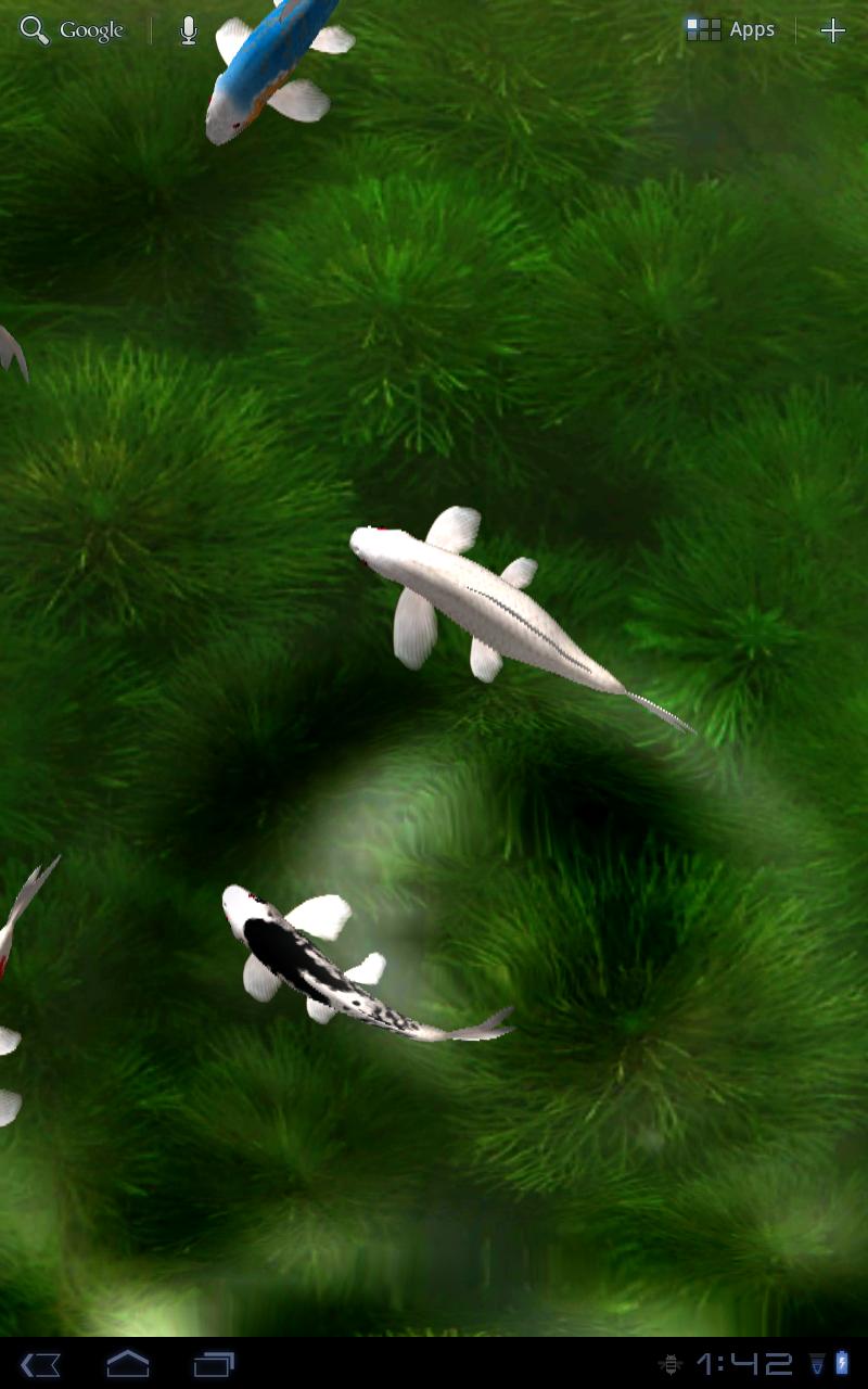 Koi Live Wallpaper Android App Re