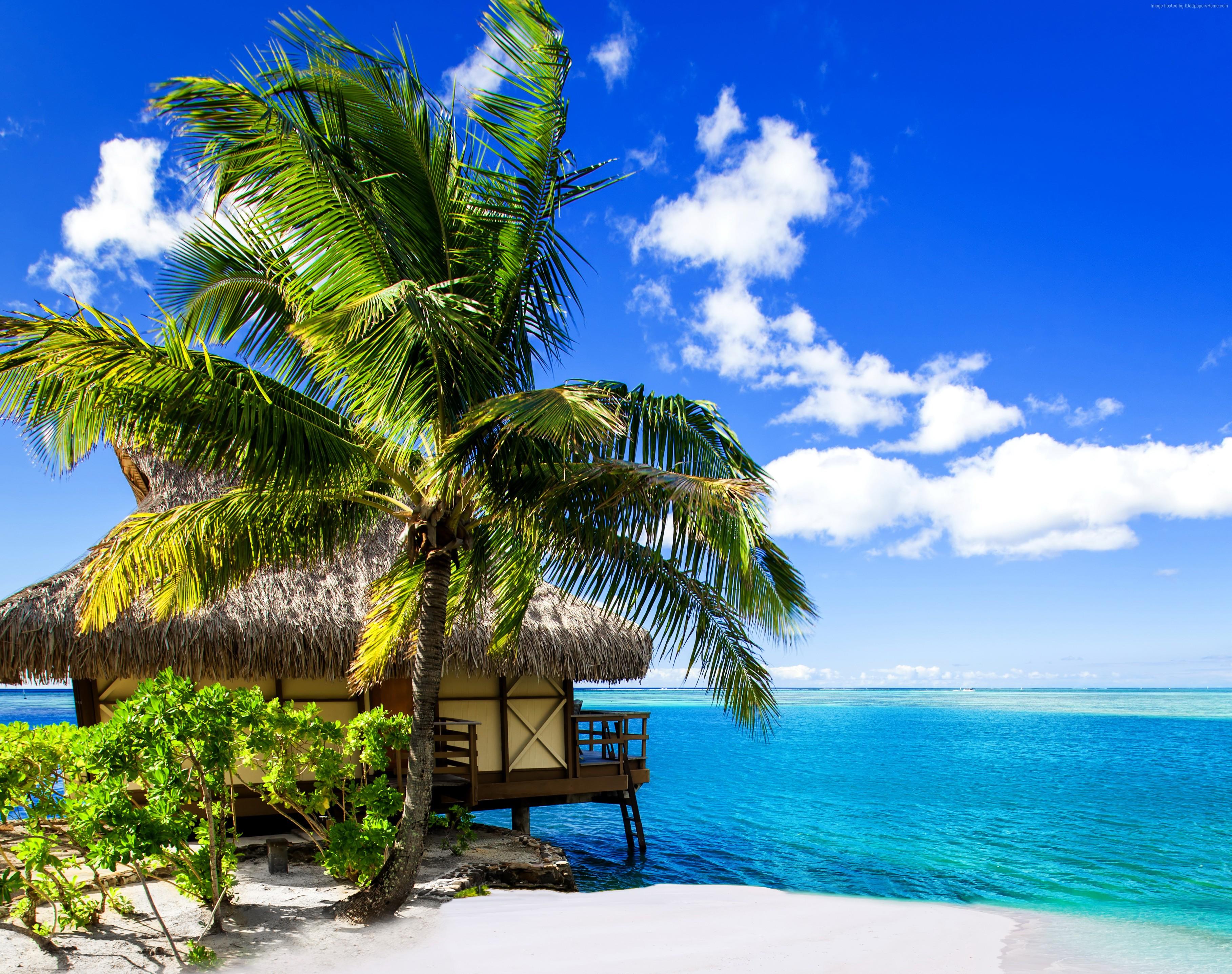 Hotel Beach Travel Maldives Ocean Holidays Island 4k