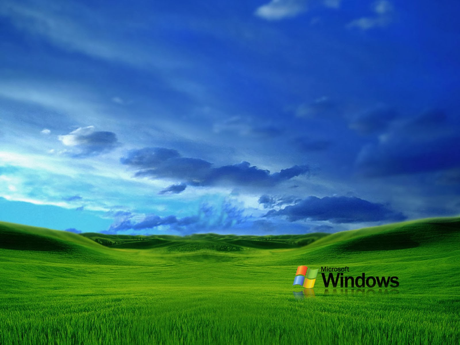 Wallpaper Grass Windows Xp