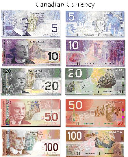 Paper Money Canadian Group Picture Image By Tag Keywordpictures