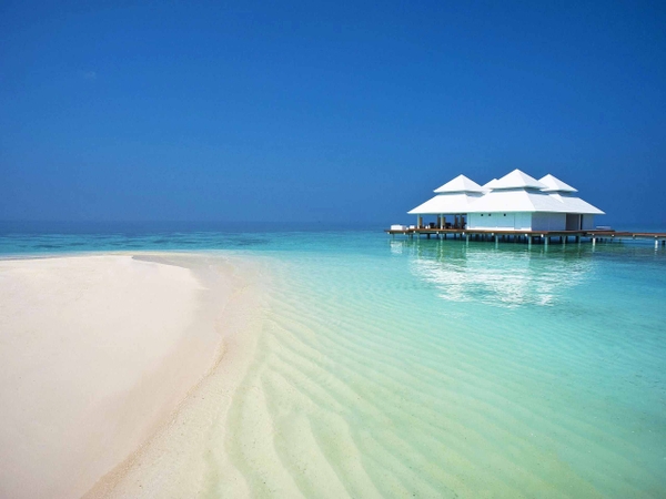 Maldives Sea Beaches Wallpaper Desktop