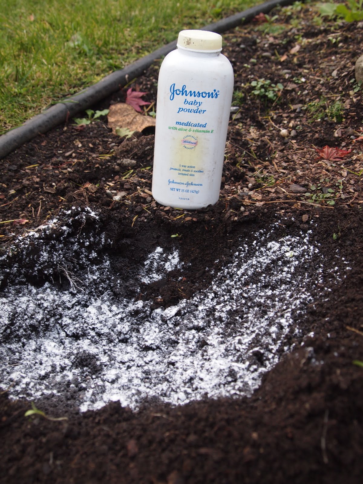 Dig a hole approximately 10 inches in diameter a few inches deep