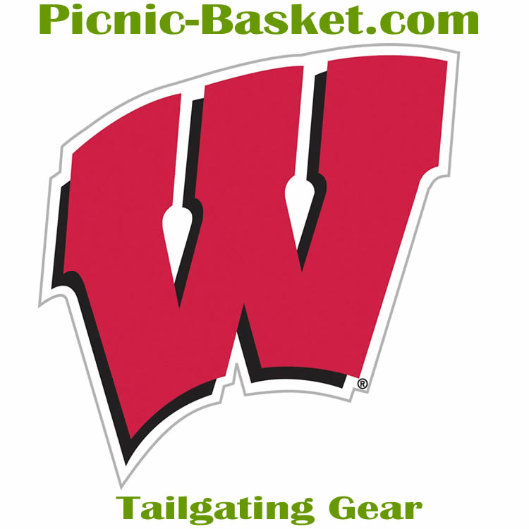 Pin Wisconsin Badgers Logo