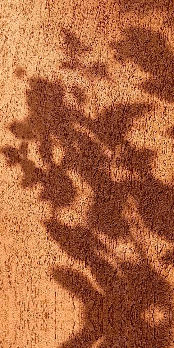 Tan Wallpaper