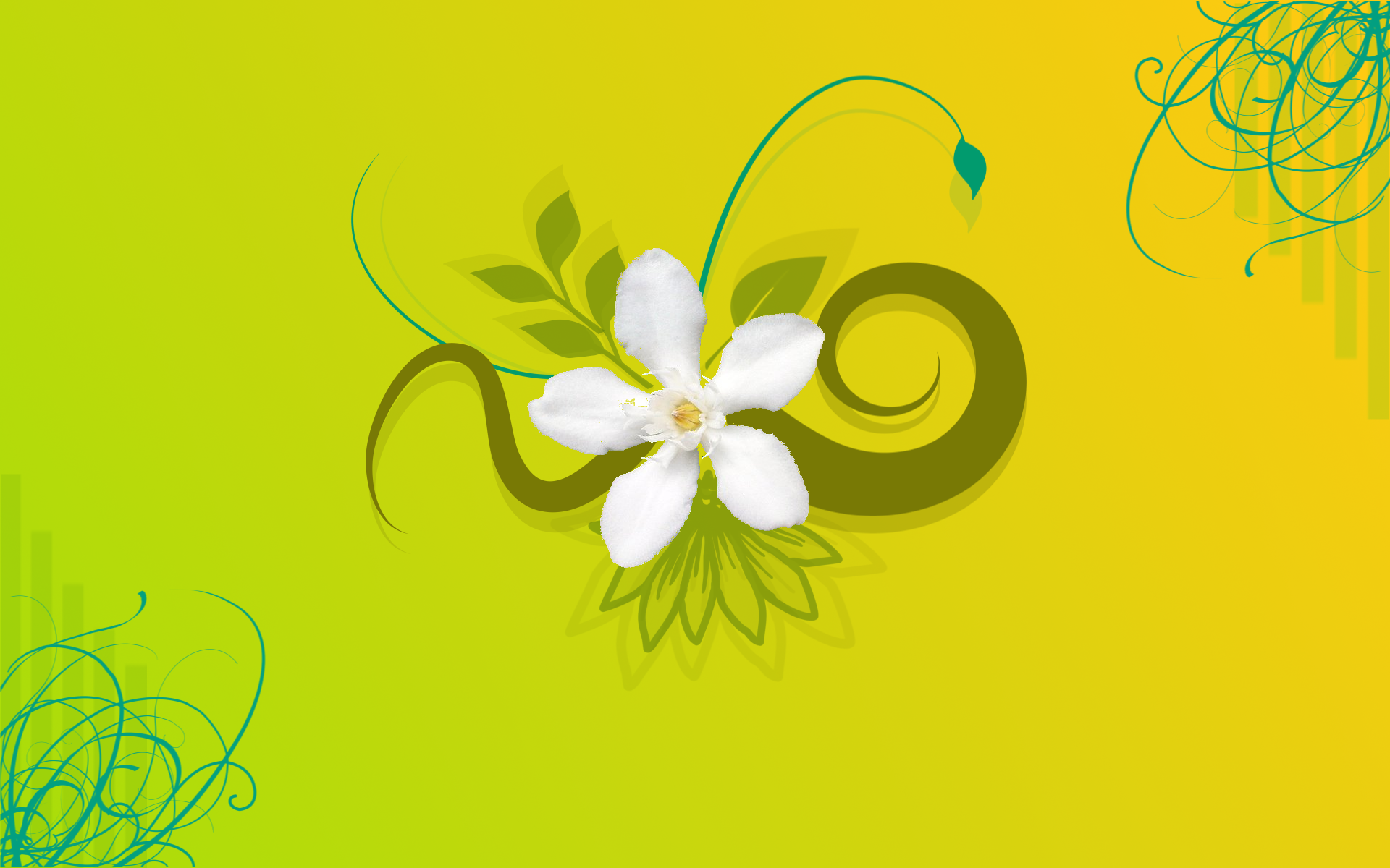 Jasmine Name And Flower Tattoo Wallpaper A1