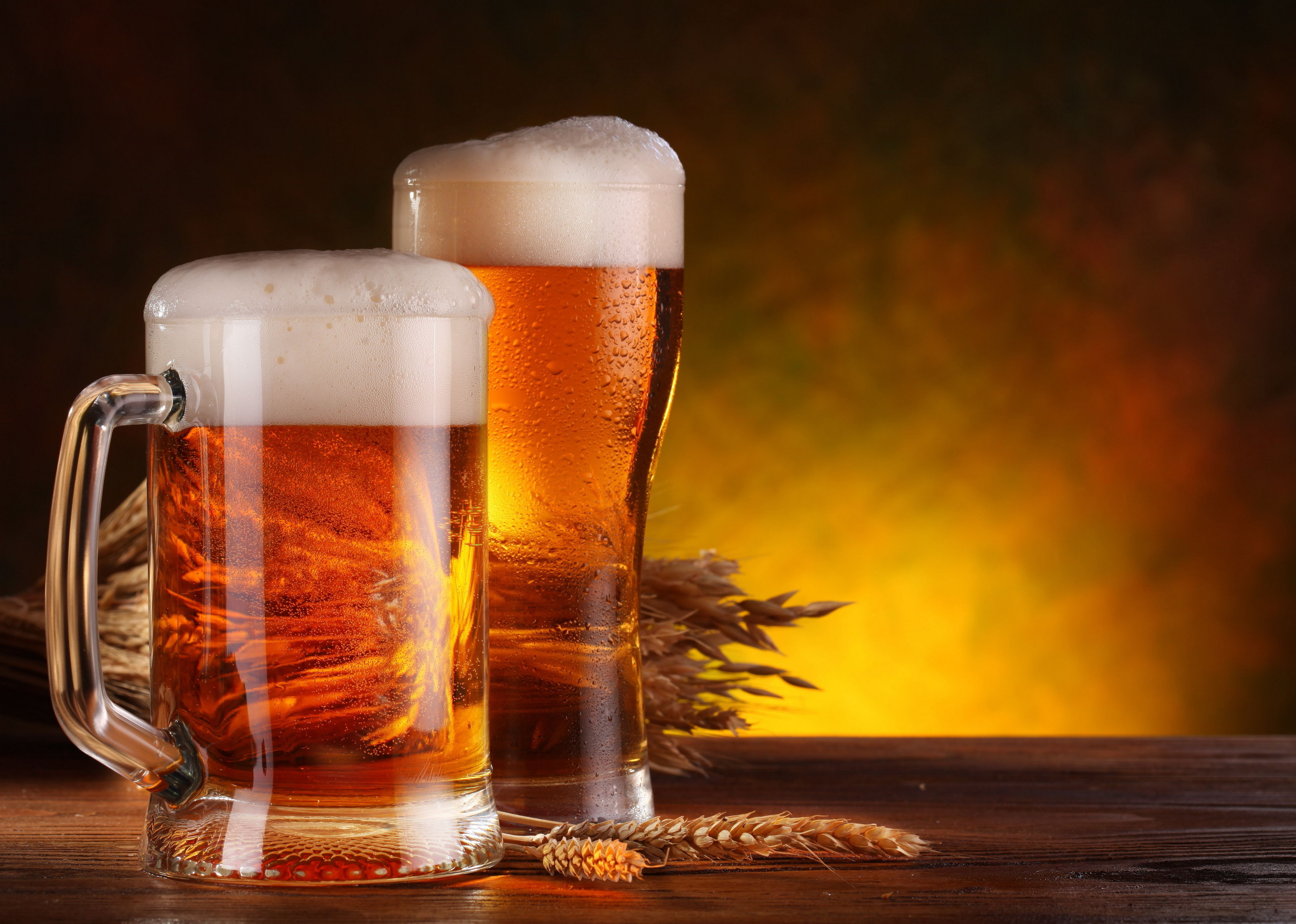 Pics Photos   Download Two Glass Of Beer Wallpaper With