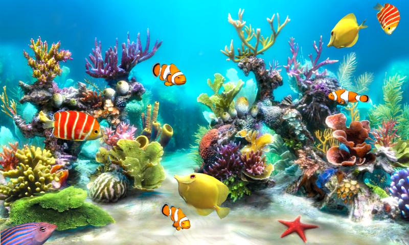 Sim Aquarium Live Wallpaper   Android Apps on Google Play 800x480
