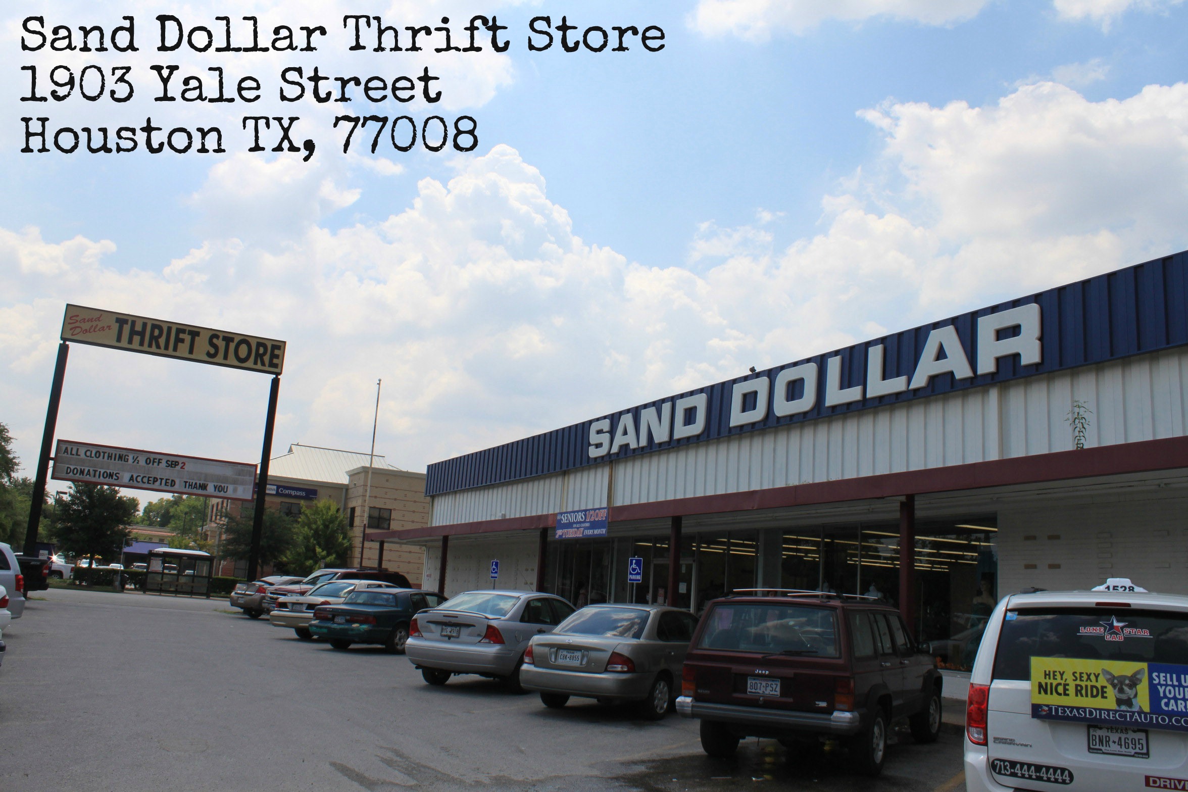 Free download Pictures nathalie kelley wallpaper fashion model female pictures [2352x1568] for