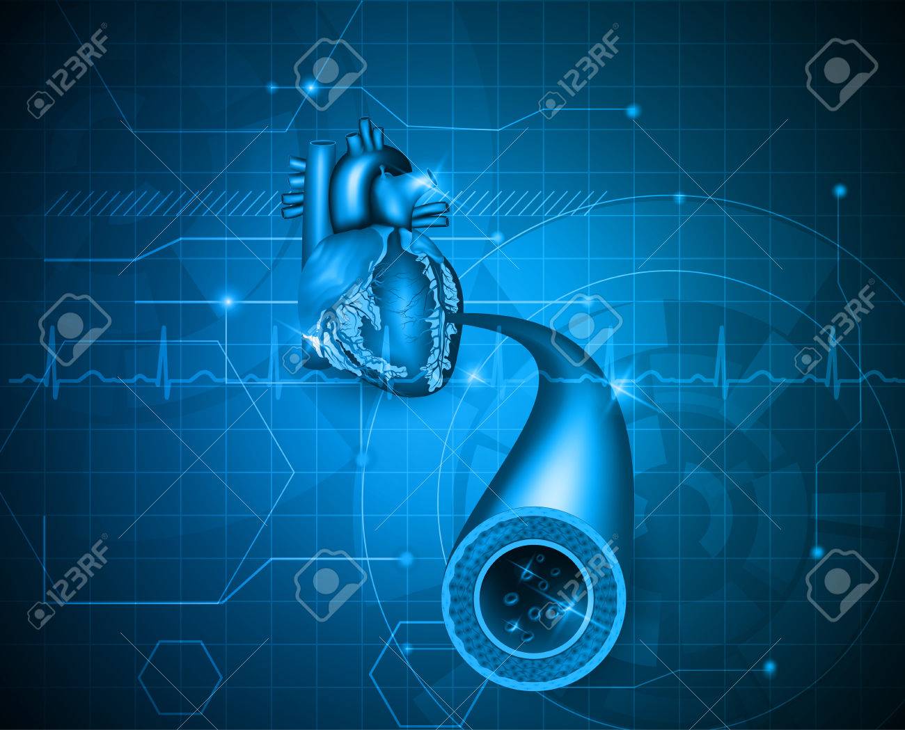 Cardiology Abstract Blue Background Human Heart Artery And Normal