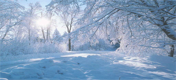 Beautiful Winter Wallpaper All Are In