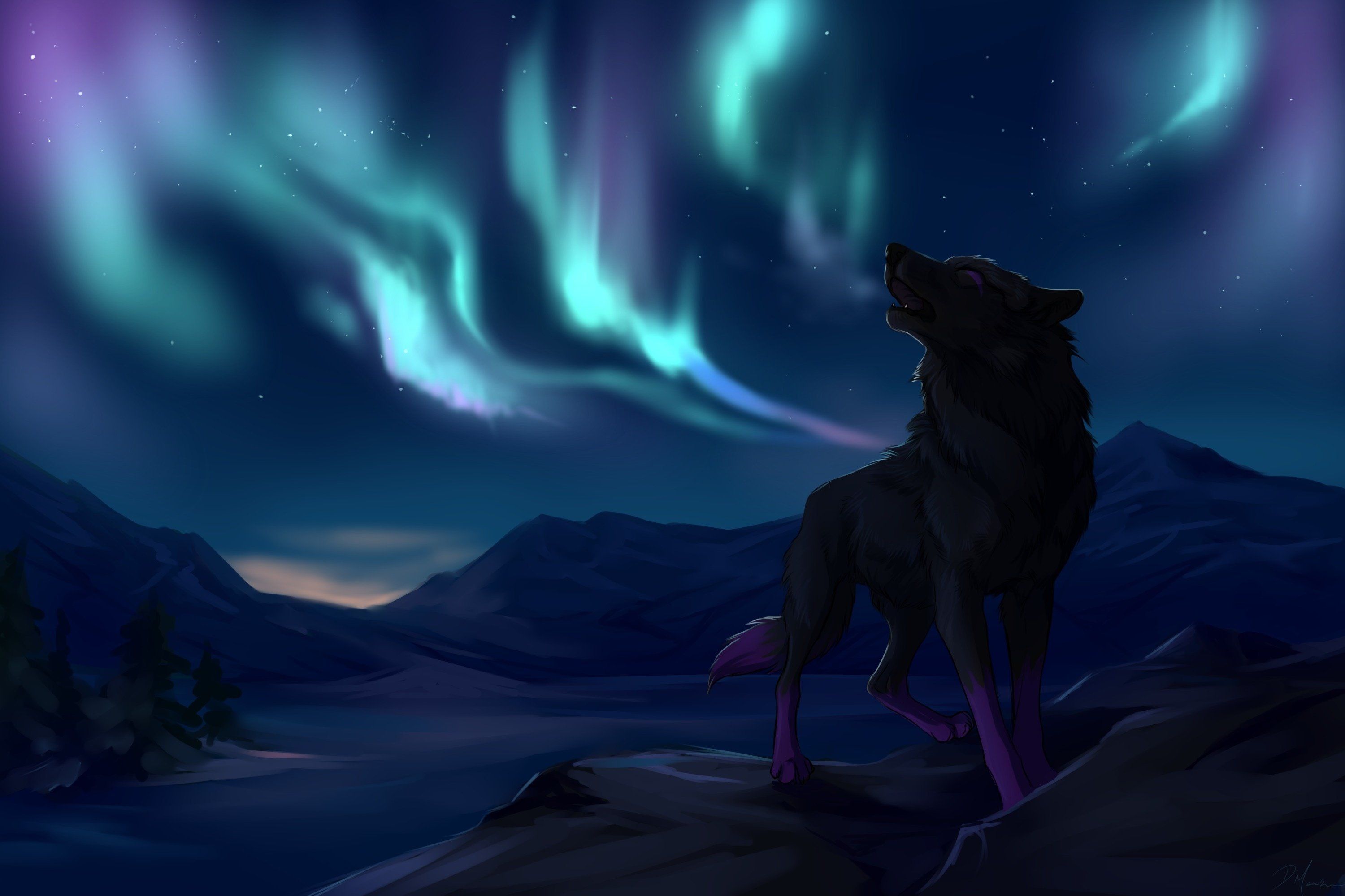 White Wolf Wallpaper