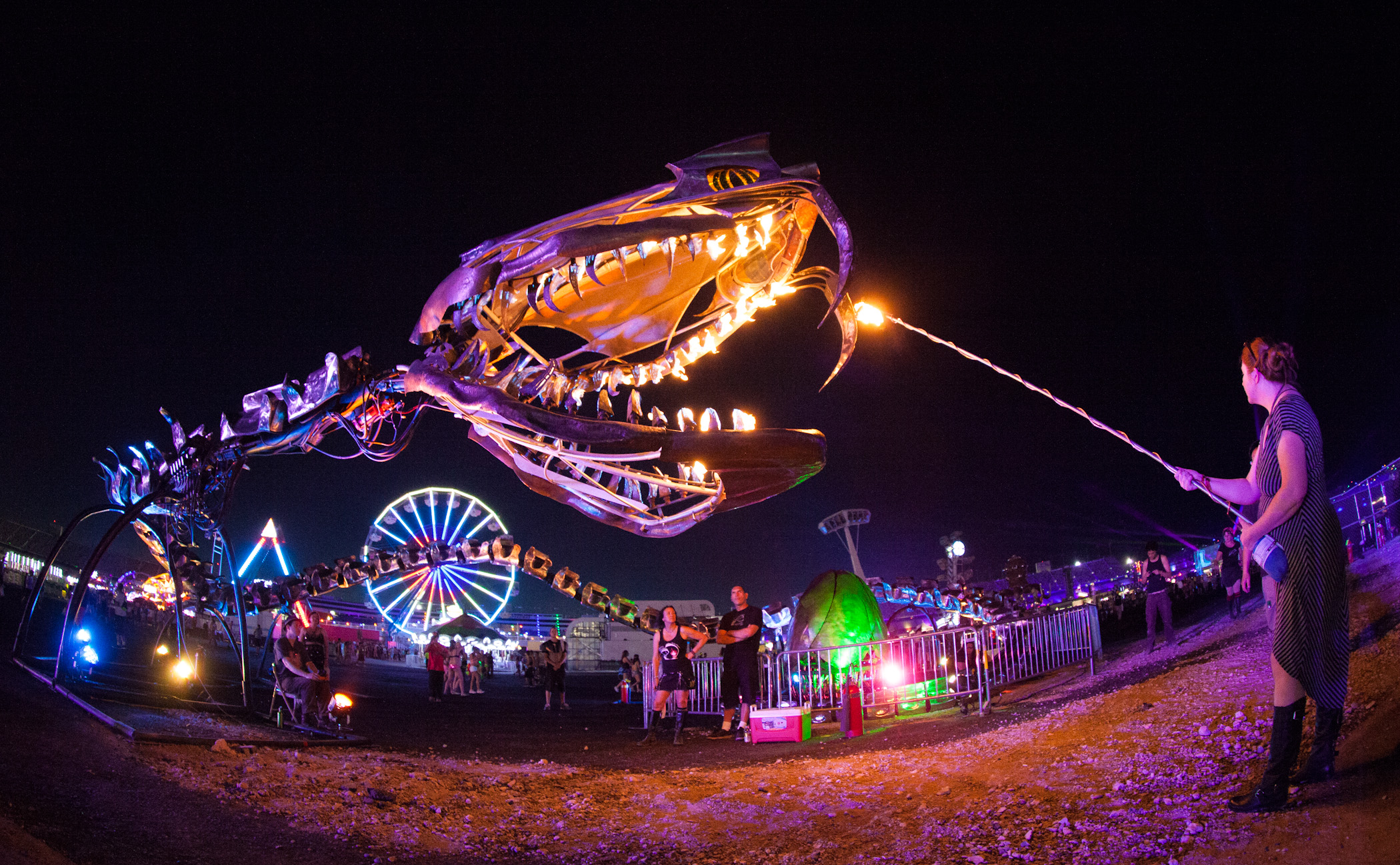 Electric Daisy Carnival Las Vegas Live Sets