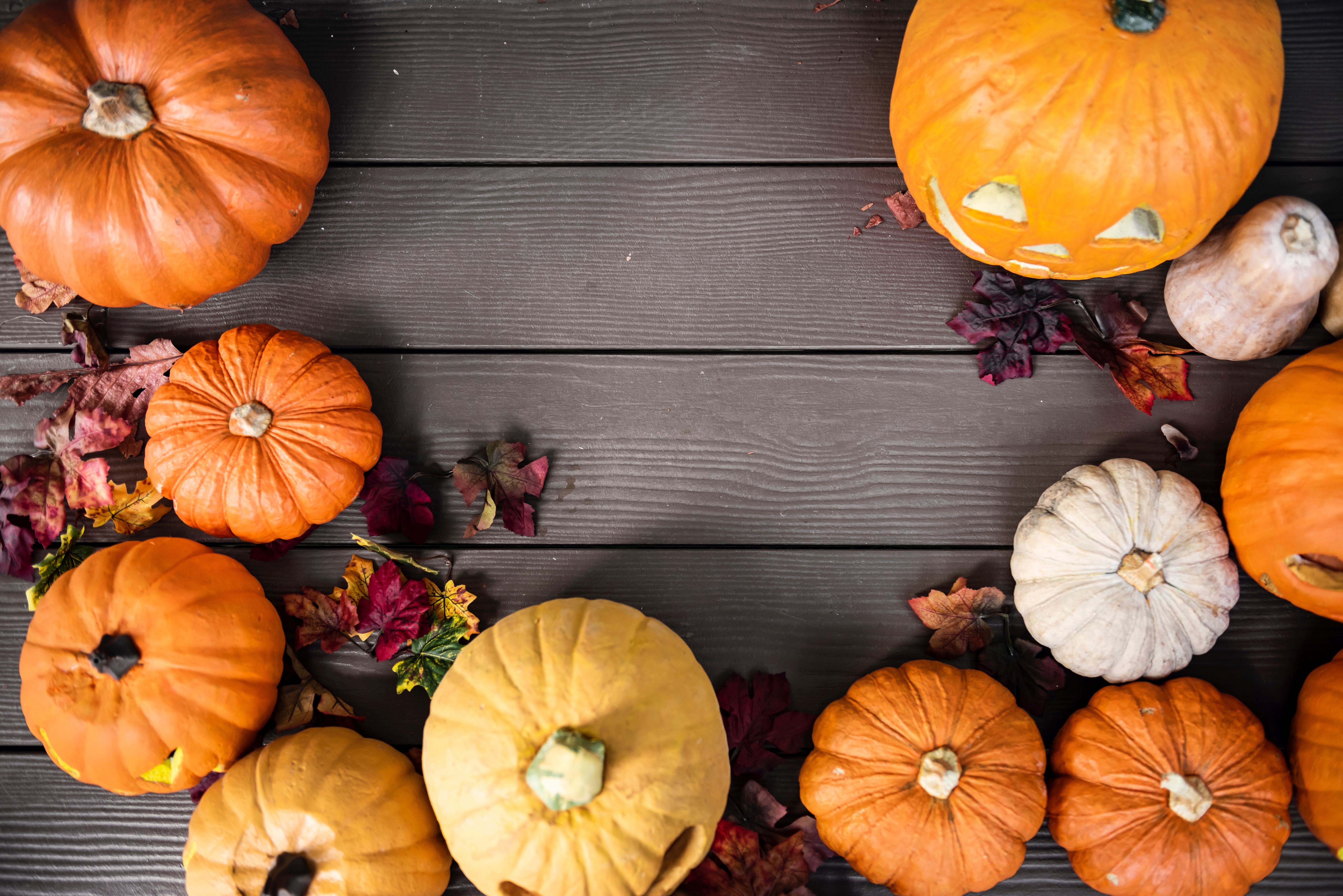 Cute Pumpkin Desktop Wallpaper