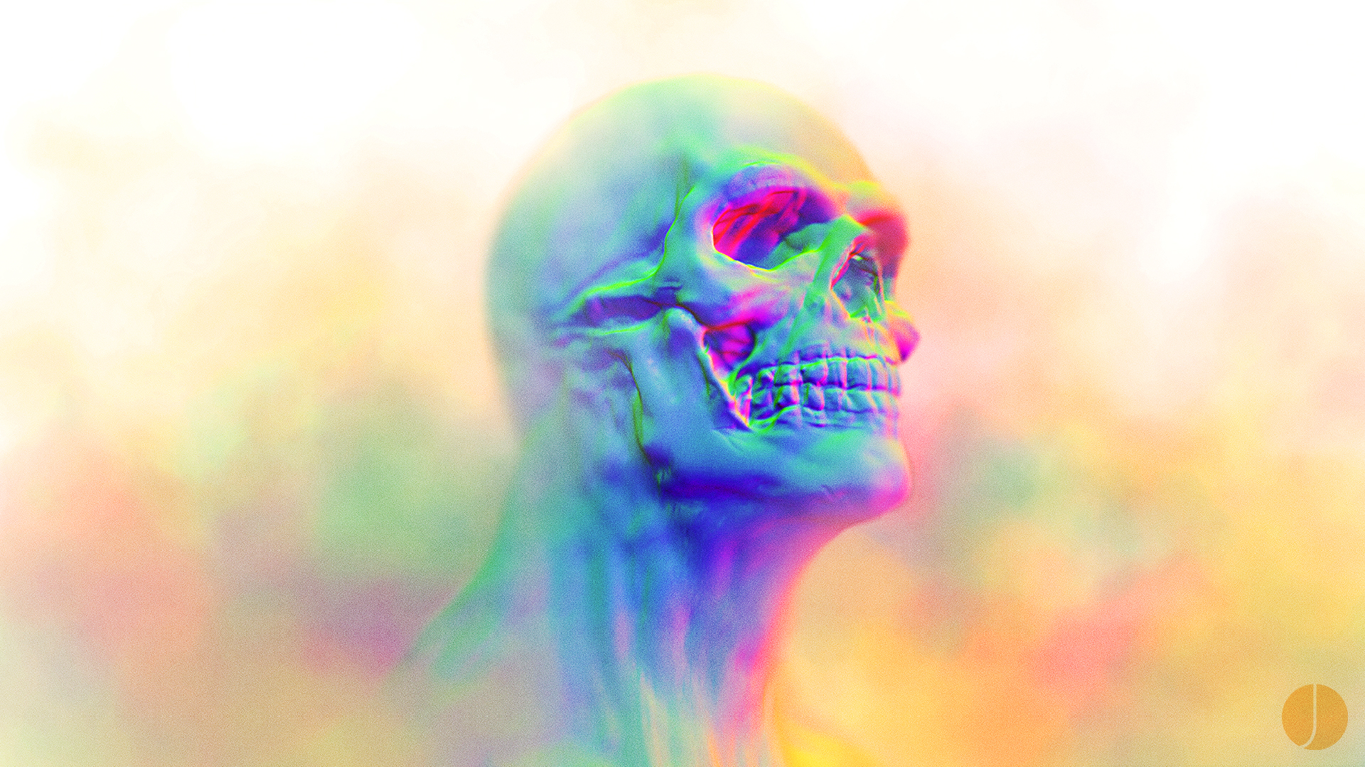 Skull Candy Wallpaper Colorful Human Design