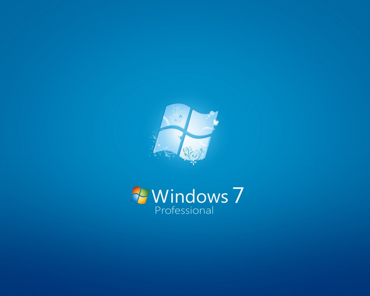 Microsoft Windows Xp Professional
