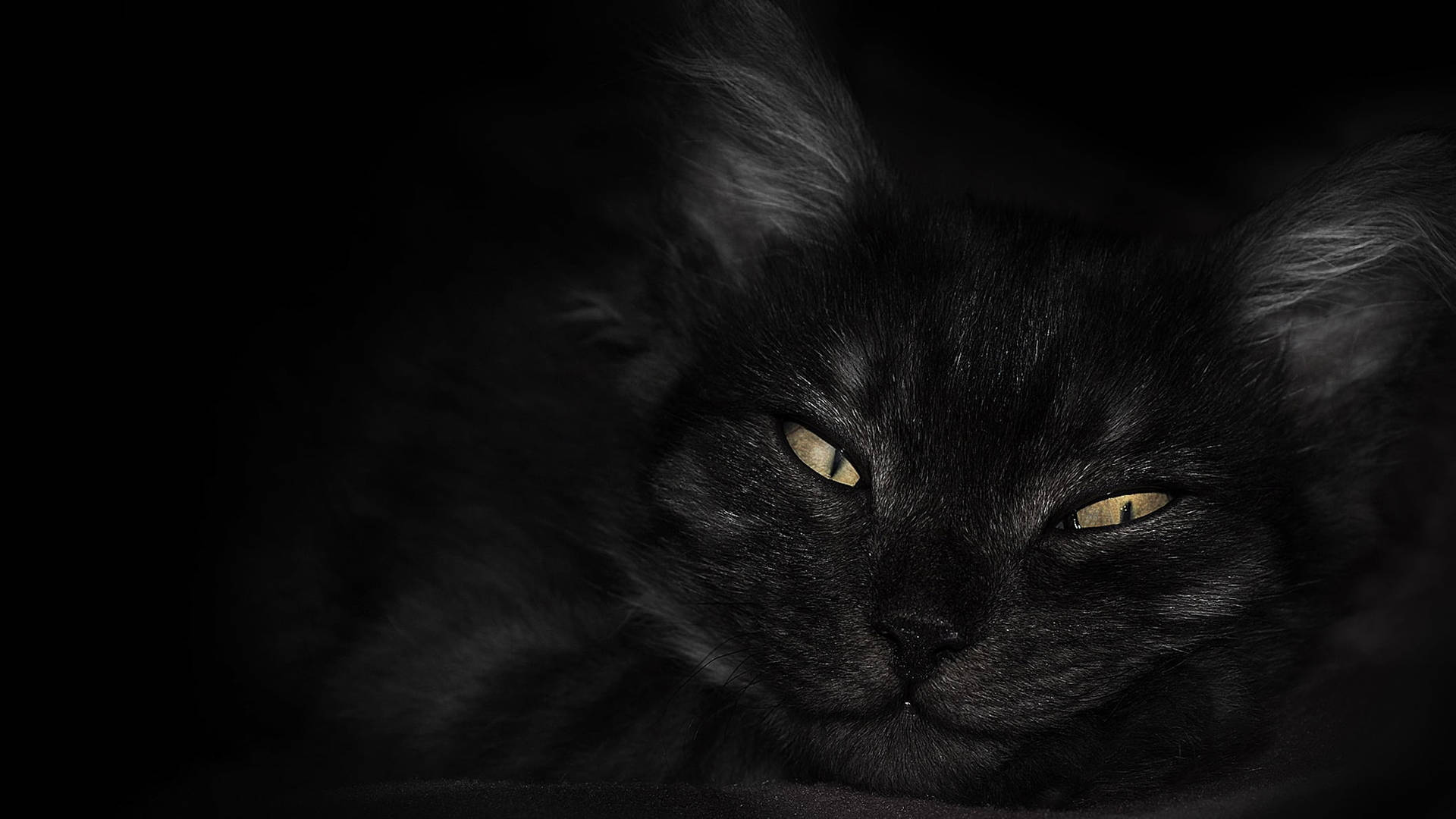 Dark Laptop Wallpaper