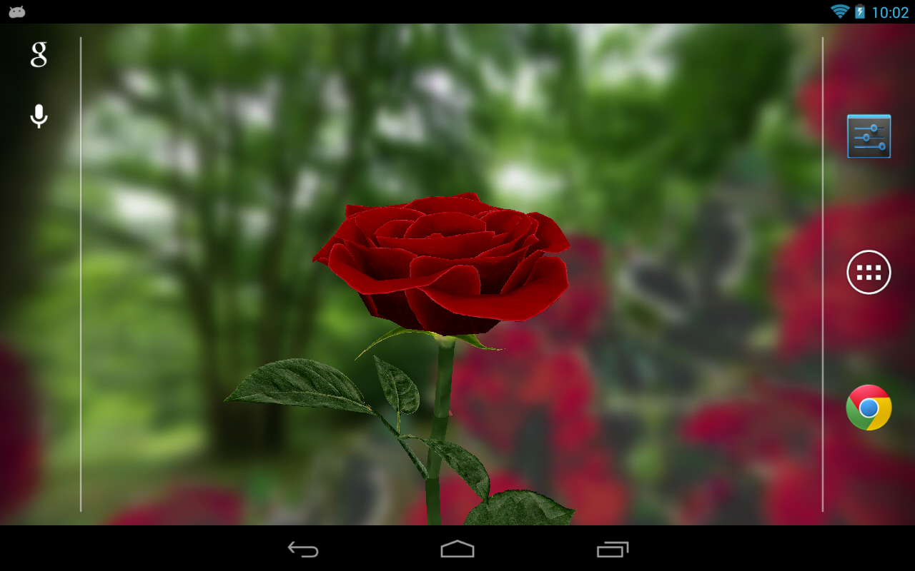 rational rose download free for windows 10 download