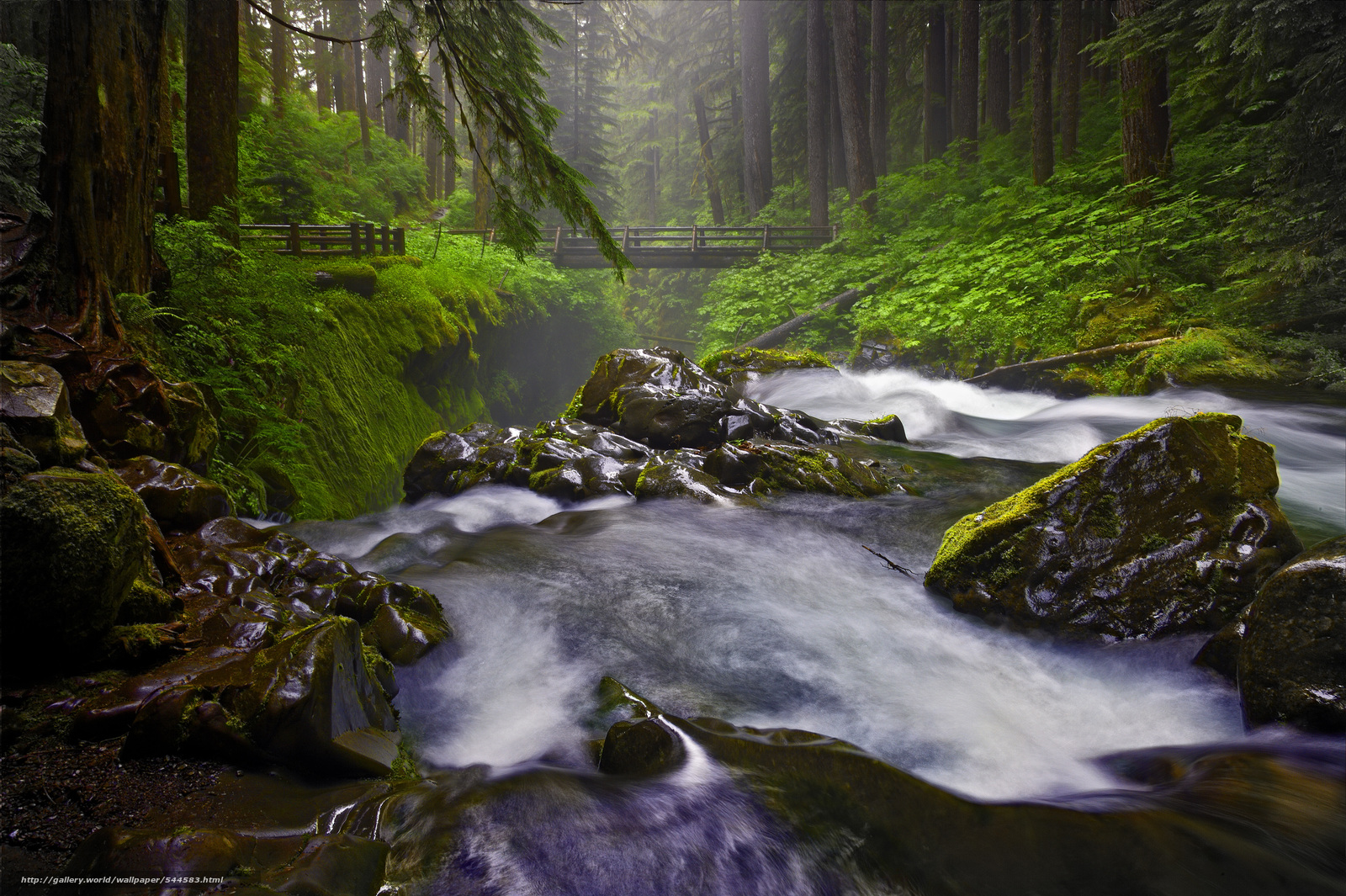 wallpaper Sol Duc Falls Olympic National Park Washington State