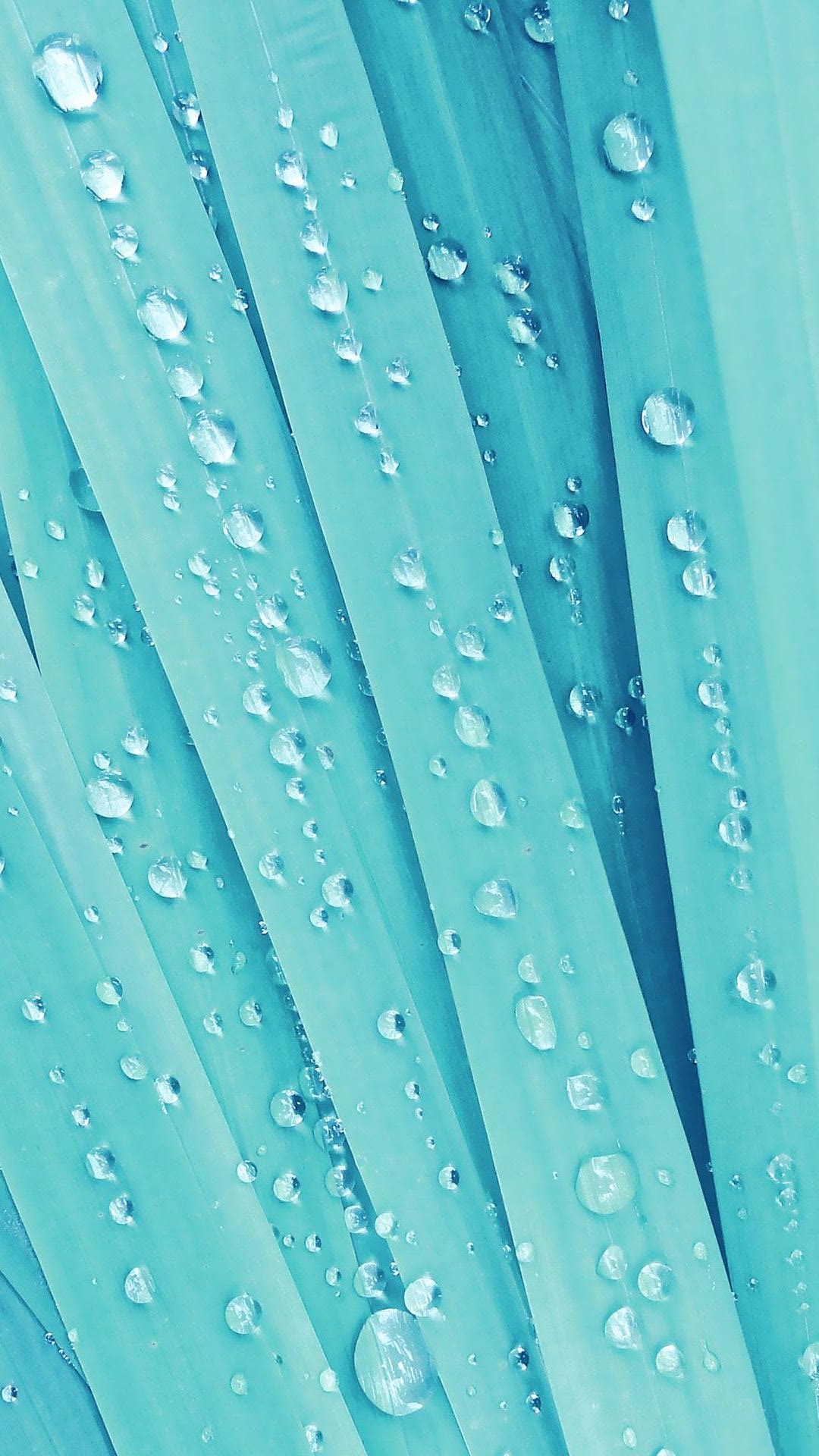 Water Drops Htc HD Wallpaper Best One