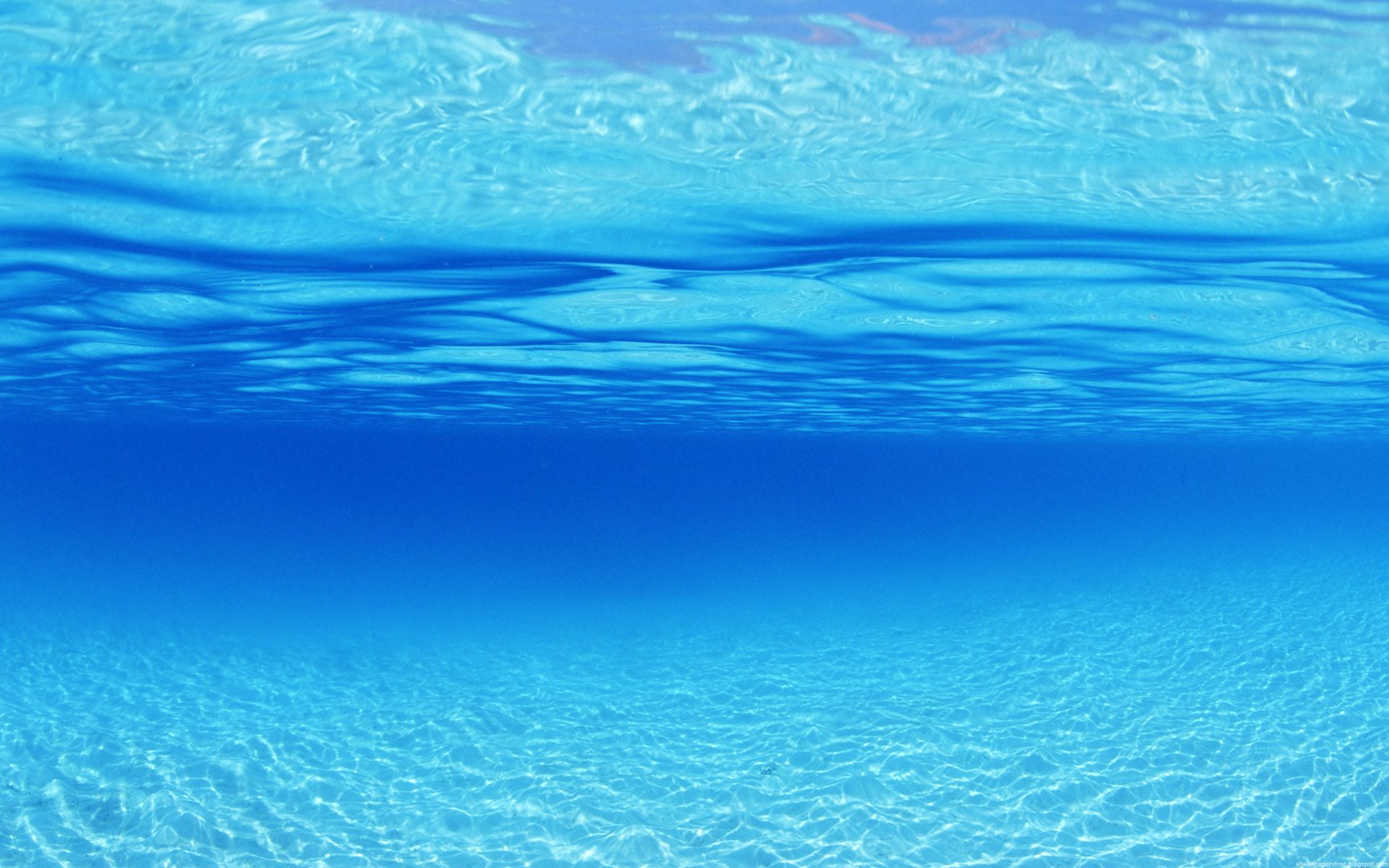 Ocean Underwater Wallpaper HD