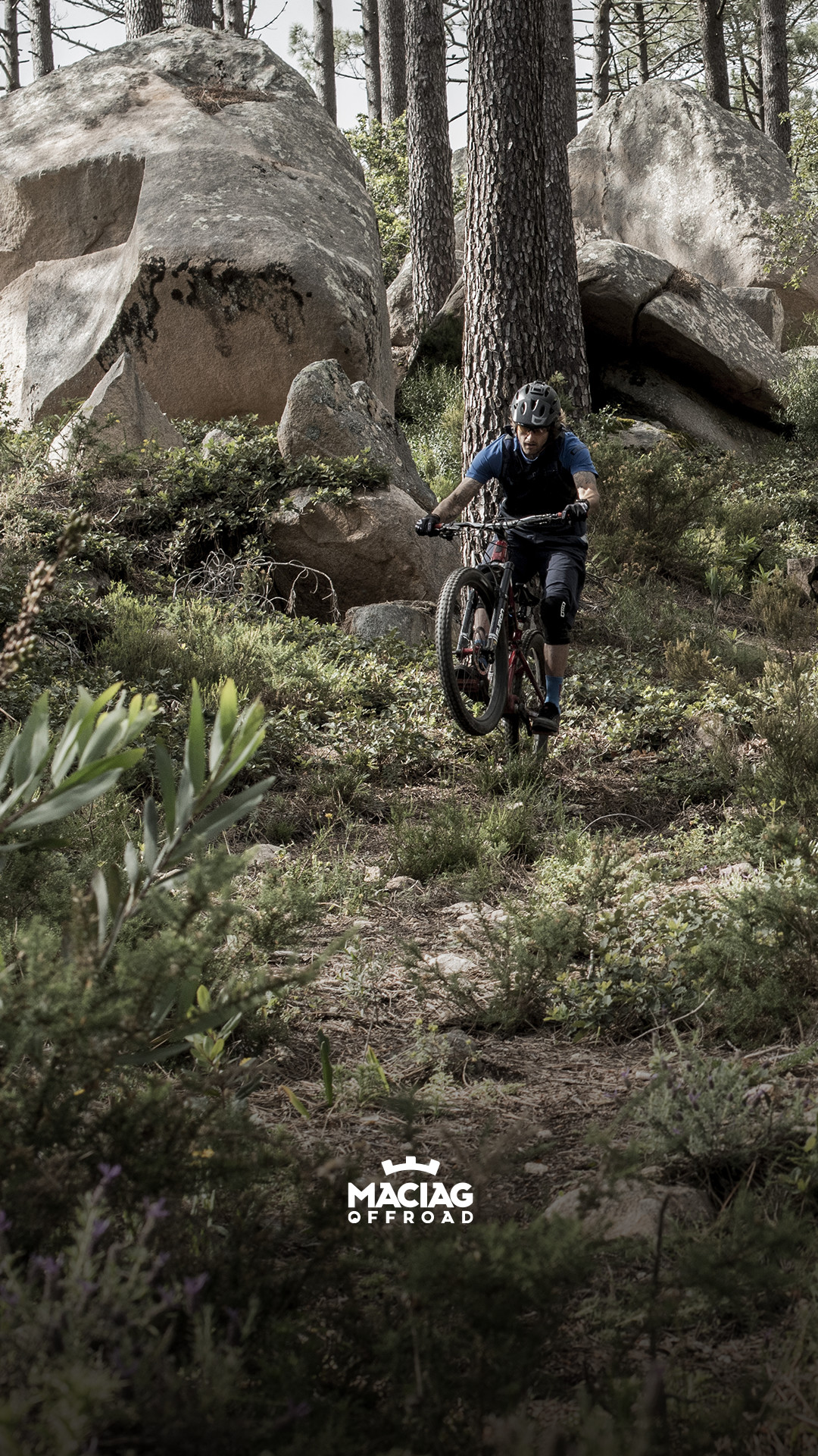 Mtb Wallpaper Windows
