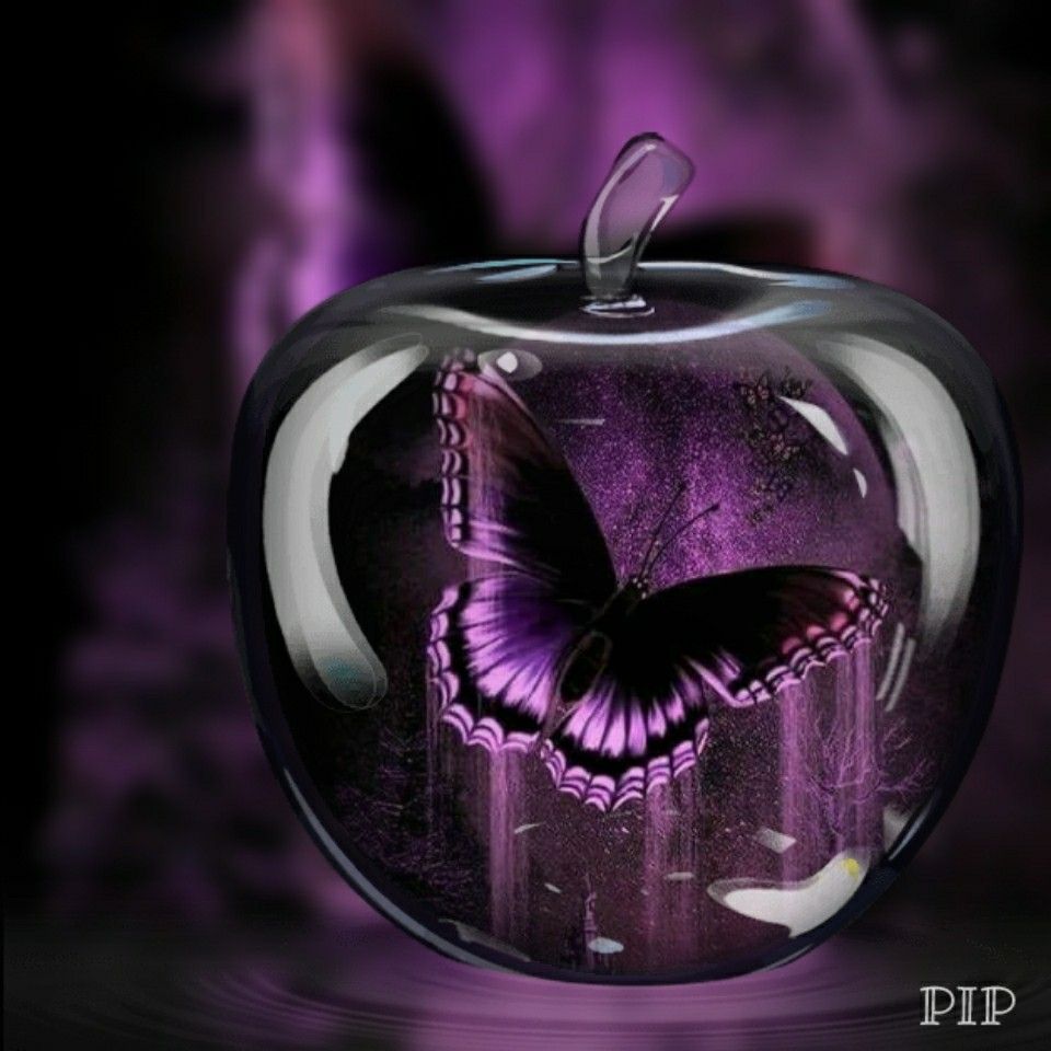 Butterfly in an apple Floral wallpaper iphone Flower phone 960x960