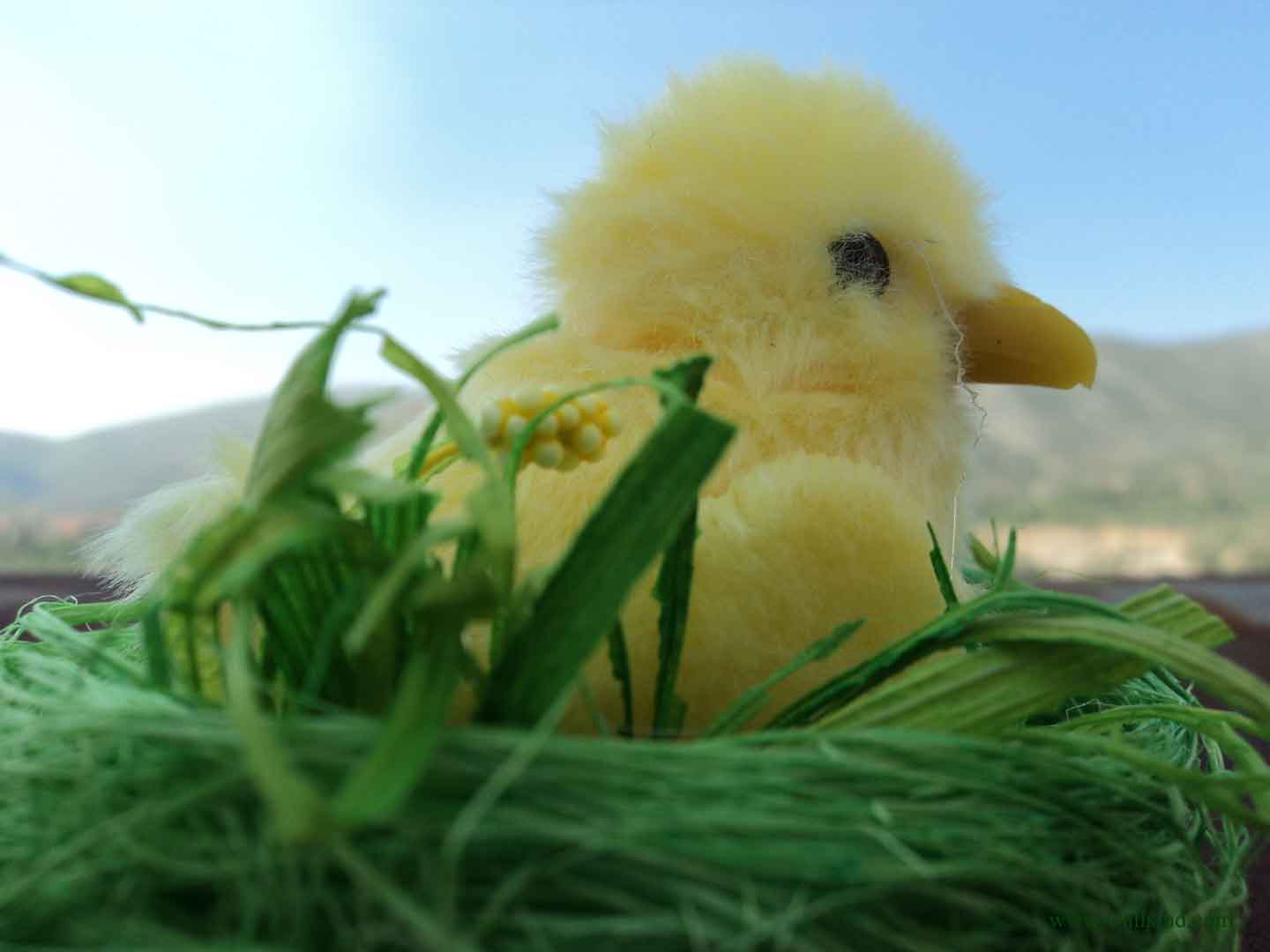 Wallpaper Easter Chick In The Sky
