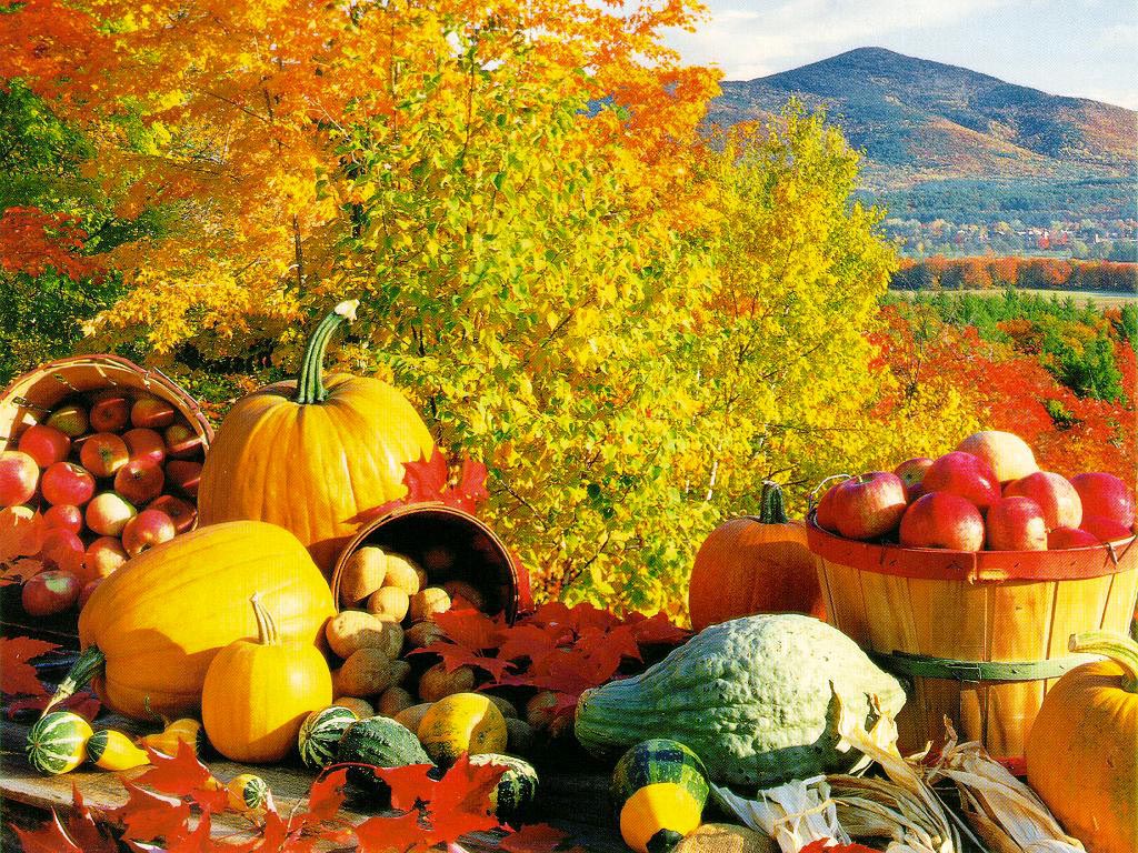 Fall Harvest Wallpaper And Background X Deskpicture