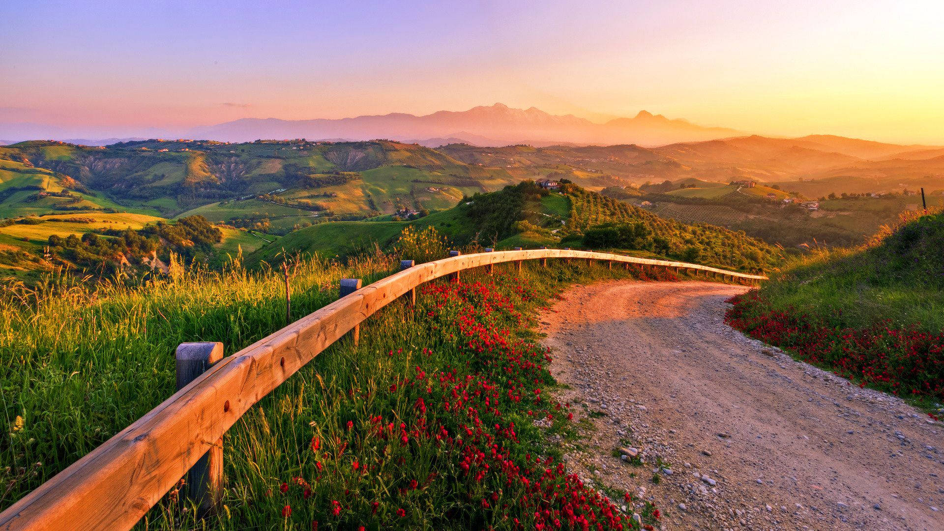Country Road Wallpaper