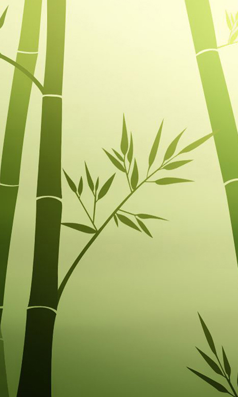 Bamboo Stikers Wallpaper For Windows Phone Appsfuze