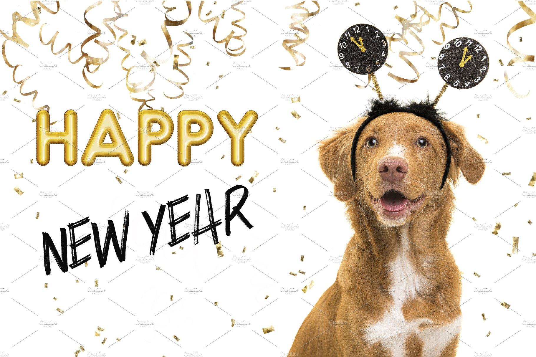 Happy new year dog Background Stock Photos Creative Market
