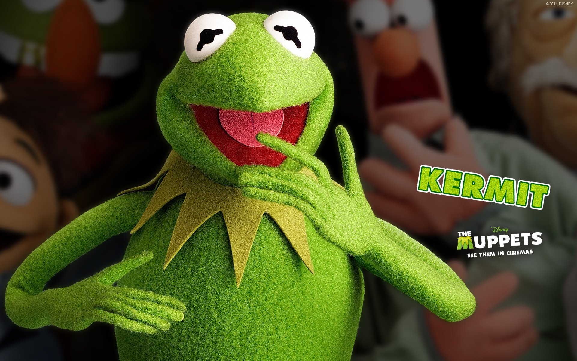 Kermit The Frog PC Android iPhone and iPad Wallpapers and Pictures 1920x120...