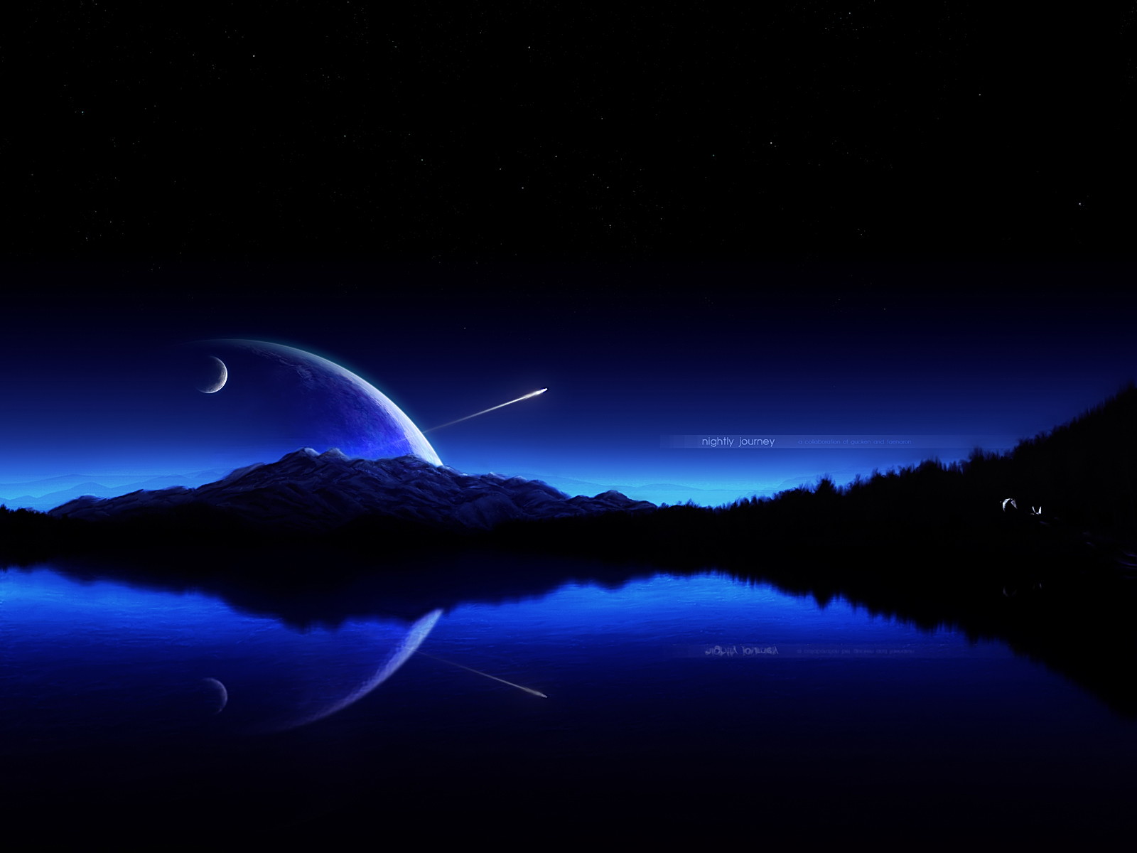 Night Time Perfection Google Wallpaper