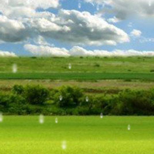 Animated Wallpaper Rain Desktop