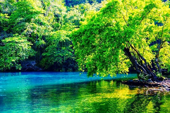 Photo Of Blue Lagoon Jamaica Water Wallpaper Desktop Background Image