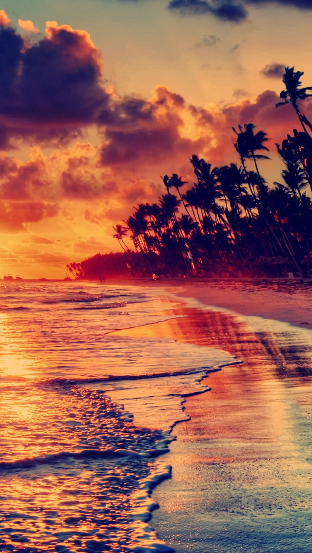 Sunset On The Beach Wallpaper Sf