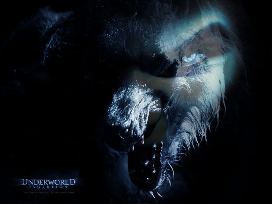 Werewolves Vs Vampires Wallpaper Image Pictures Becuo