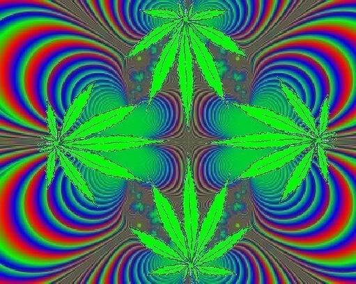 Trippy Weed Drug Get Along Great