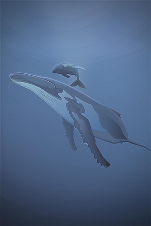 Whale Vector iPhone Wallpaper S 3g