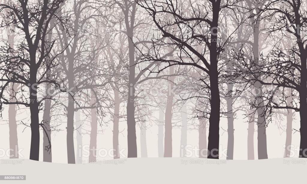 Vector Illustration Of A Winter Forest Without Leaves With Snow
