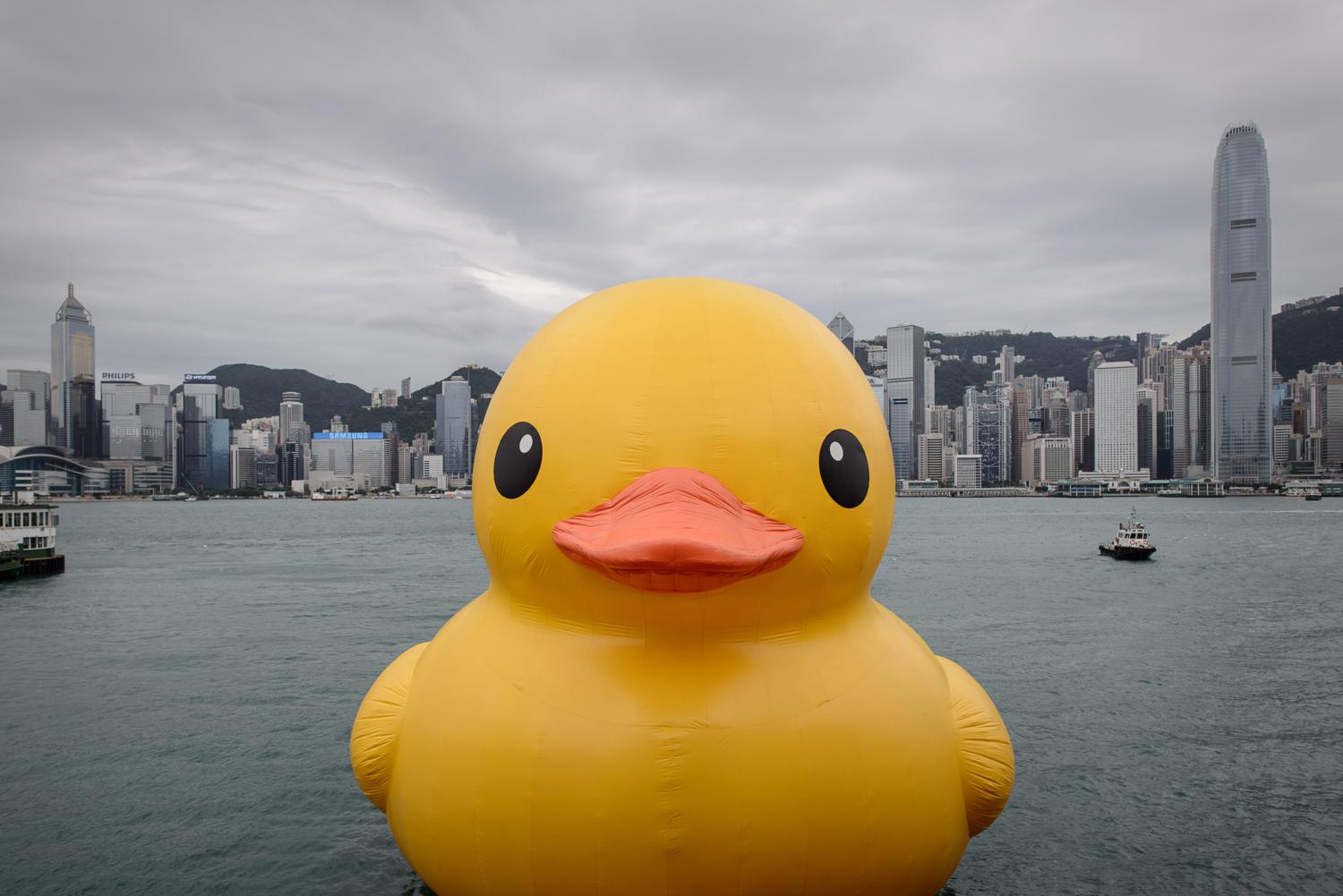  rubber duck Victoria Habour Hong Kong